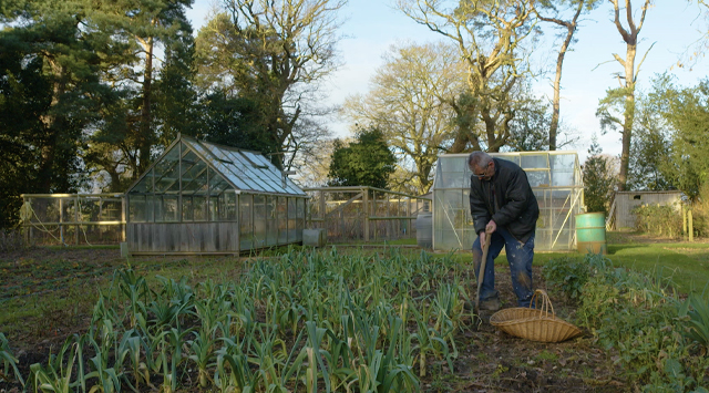 Fresh produce grown on site