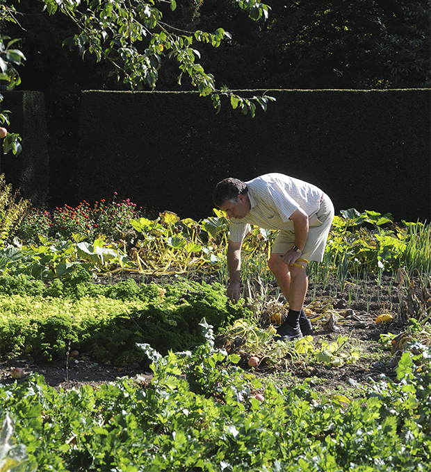 Vegetable patch