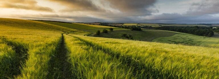 Lincolnshire Wolds Lincolnshire Wolds