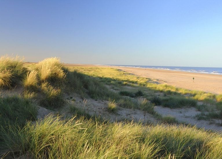 Theddlethorpe dunes blog feature Natural grassy sand dunes on the Lincolnshire Coastline at Theddlethorpe.