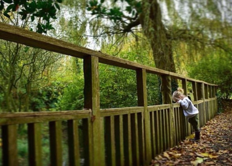 Elsham hall gardens Elsham Hall Gardens