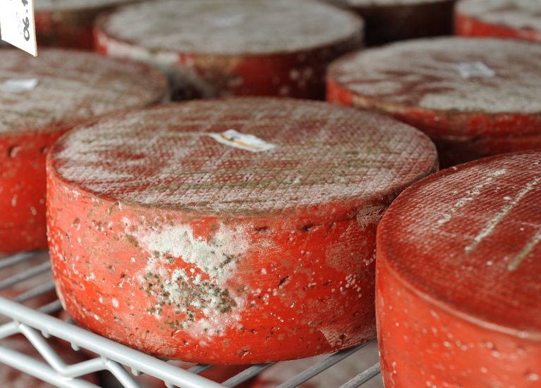 Cote hill cheese 1 Cote Hill Cheese