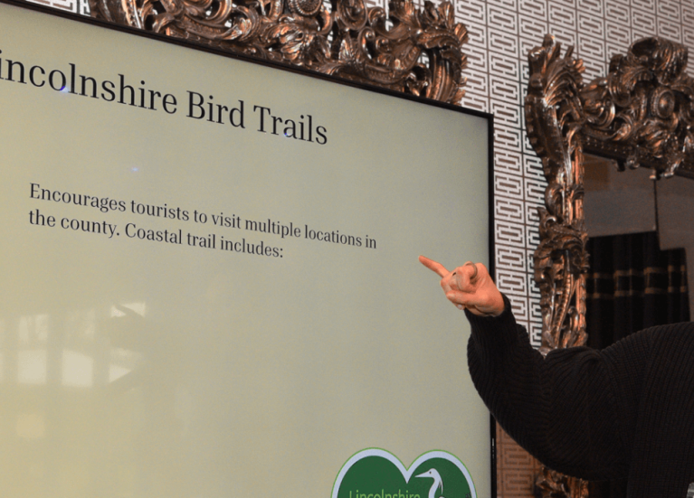 Lucy lapwing blog header Lucy lapwing blog header