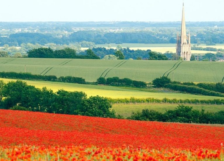 Poppy field lincolnshire countryside blog feature image Poppy field lincolnshire countryside blog feature image
